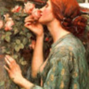 Meet your Posher, D. denise